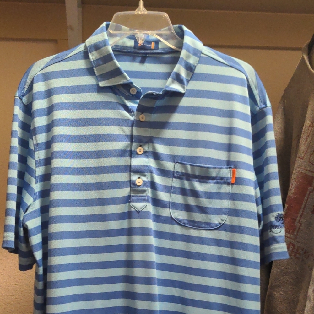 Blue Striped Polo Shirt